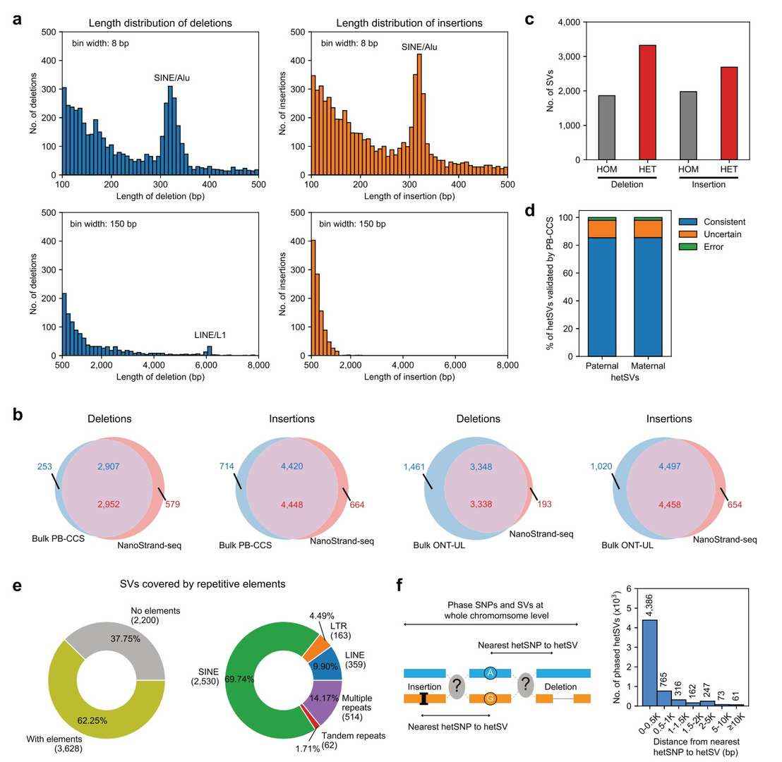 NanoStrand-seq performance in SV detection and phasing (Bai et al., 2024)