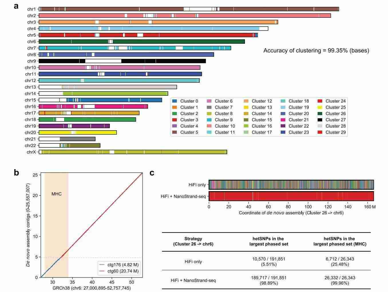 Haplotype-resolved assembly using HiFi long-reads and NanoStrand-seq (Bai et al., 2024)