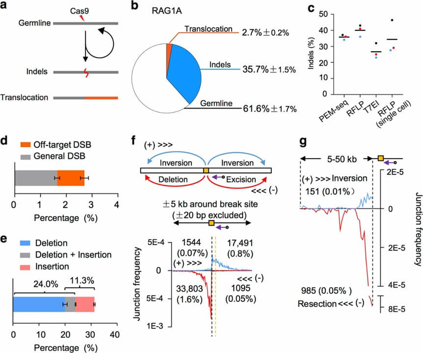 Figure 2: Assessment of CRISPR/Cas9 editing precision and efficiency using the PEM-seq technique.