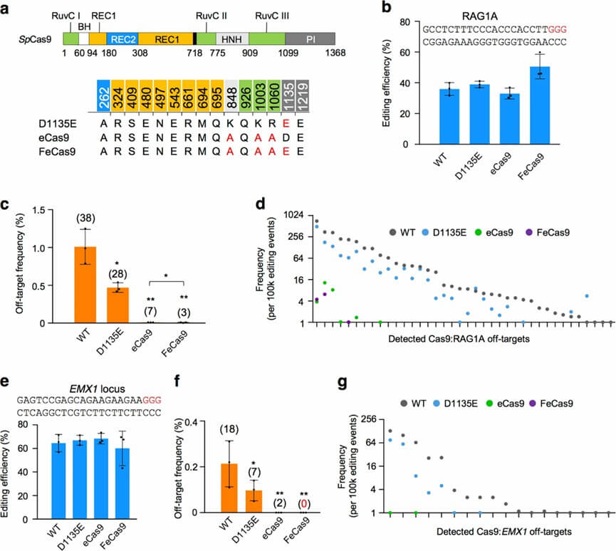 Figure 4: Comparison of editing efficiency and specificity among different Cas9 variants.