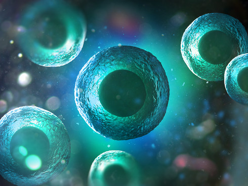 Single Cell RNA Sequencing