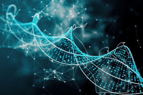 Whole Genome Sequencing