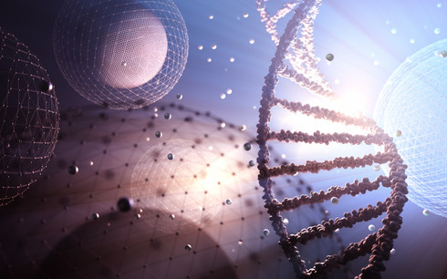 eccDNA Validation Service By PCR And Sanger Sequencing