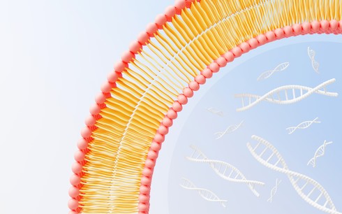 CRISPR Validation Sequencing
