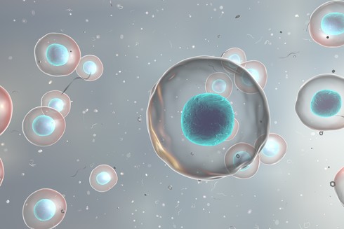 CRISPR Off-target Discovery