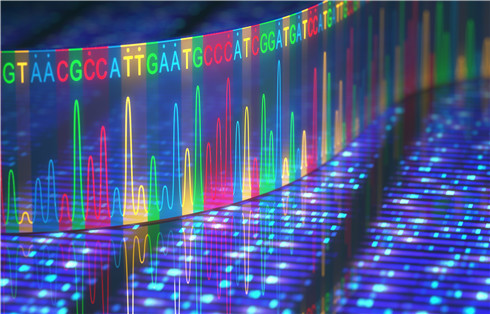 Tumor Microenvironment Profiling