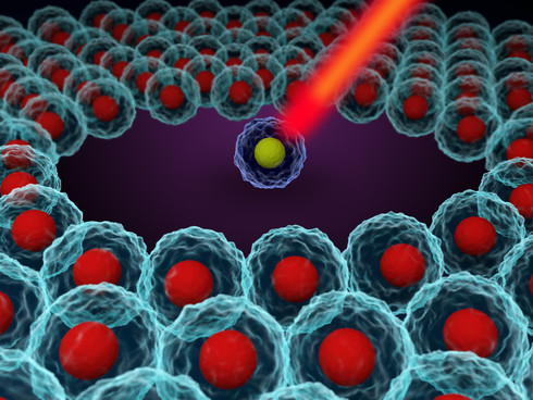 CRISPR Validation Sequencing