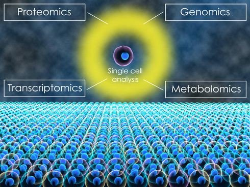 Whole Genome Sequencing