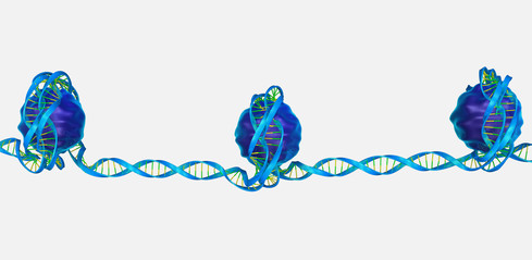 CRISPR Validation Sequencing