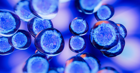 CRISPR Off-target Discovery