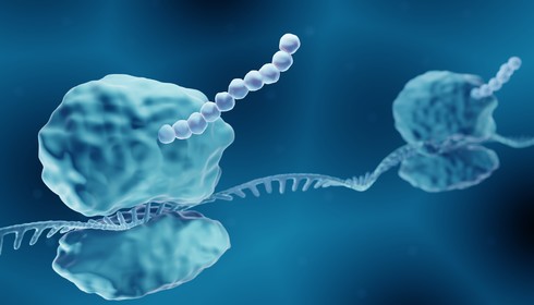 Immuno-Oncology Solutions