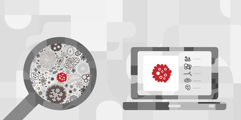 Whole Genome Sequencing
