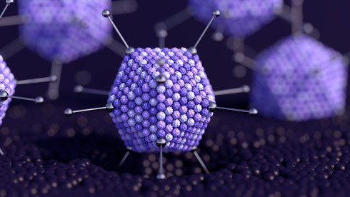 CRISPR Validation Sequencing