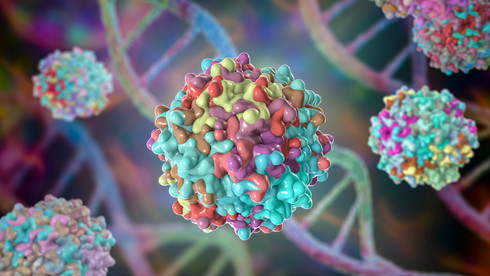 Immuno-Oncology Solutions