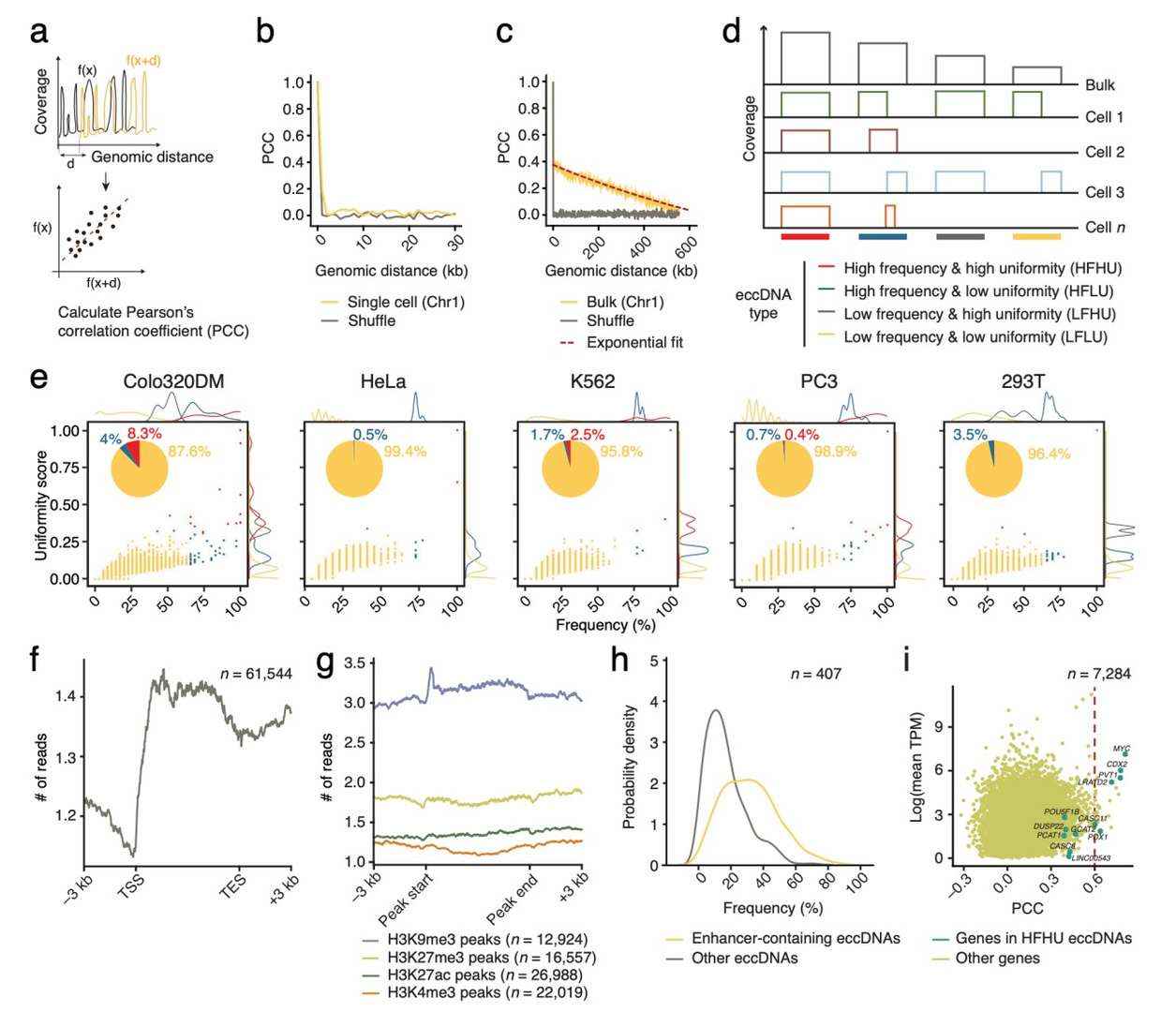 Distribution patterns of eccDNA revealed by scCircle-seq (Chen et al., 2024)