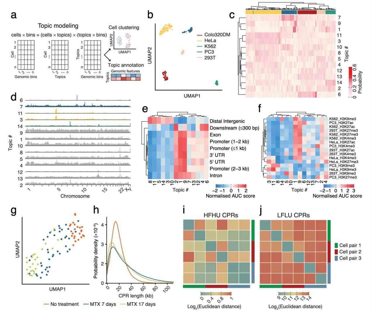 Cell-type specificity of eccDNA (Chen et al., 2024)