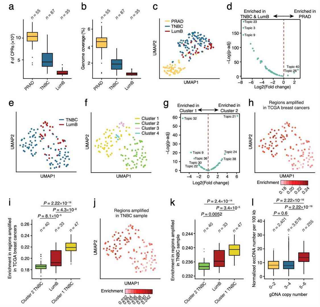scCircle-seq applied to tumor samples from patients (Chen et al., 2024)