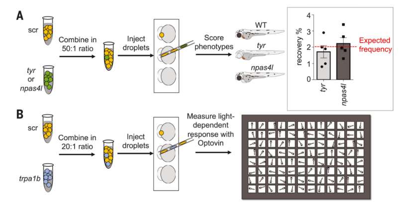 Method of a spike-in phenotypic (Saba et al., 2021)