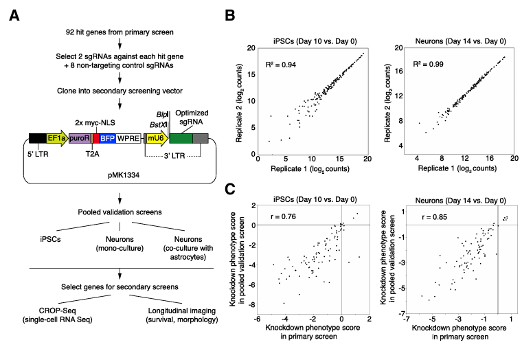 Validation of hit genes method (Ruilin et al., 2019)