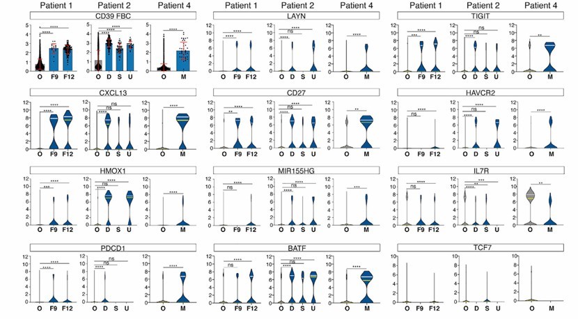 The different expression level of gene and protein expression on neoantigen-reactive T cells (Hanada et al., 2022)