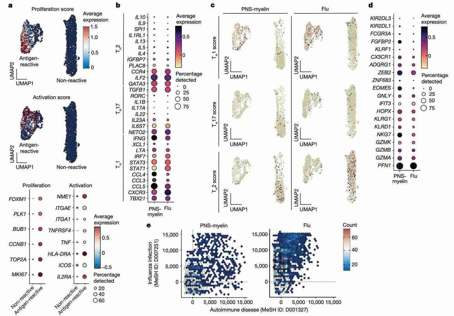 scRNA-seq analysis of memory CD4+ T cells from GBS patients (Súkeníková et al., 2024)