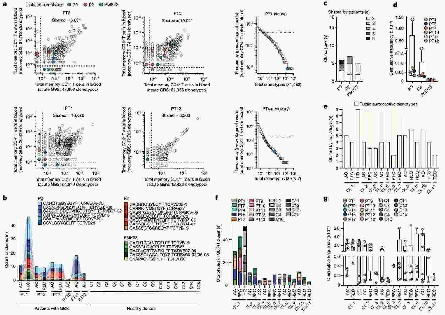 Clonotypic analysis of autoreactive T cells in GBS patients (Súkeníková et al., 2024)
