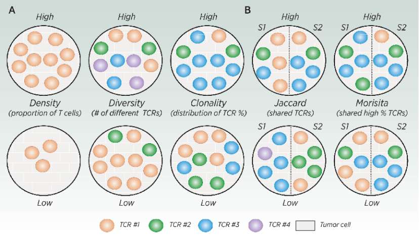 Indicators T cell bank (Meredith et al., 2023)