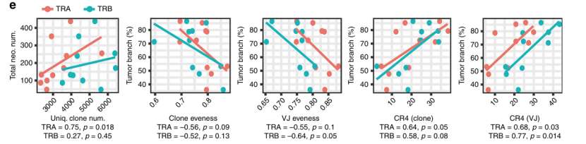 Relations between T cell repertoire and branch neoantigens (Yan et al., 2019)