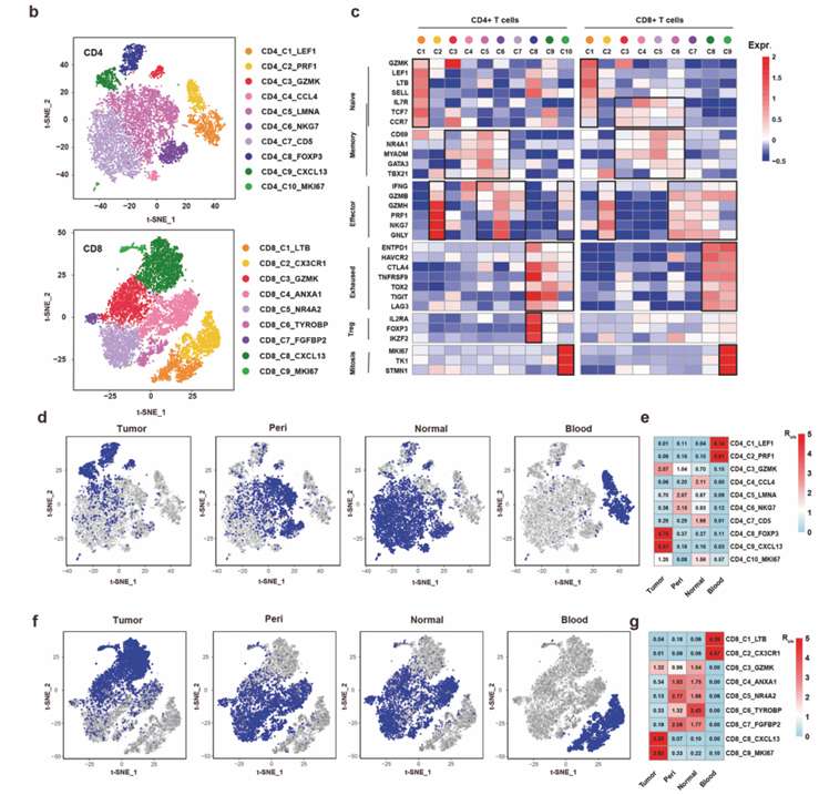 ScRNA-seq results of T cell clusters (He et al., 2022)