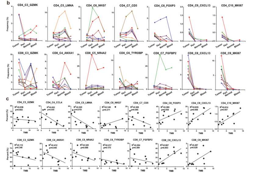 Expanding tumor-enriched T cells by tumor antigens (He et al., 2022)