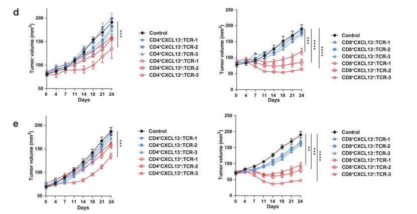 Different T cells from tumor-enriched clusters (He et al., 2022)
