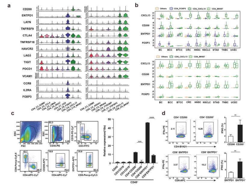 Surface markers results of Tas cells (He et al., 2022)