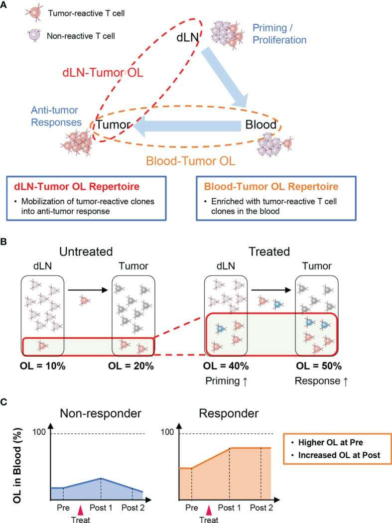 Workflow of inter-organ clone tracking analysis (Aoki et al., 2022)
