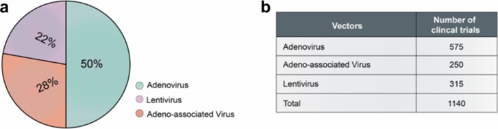 Overview of clinically tested viral vectors and their applications. (Bulcha, J.T., et al., 2021)