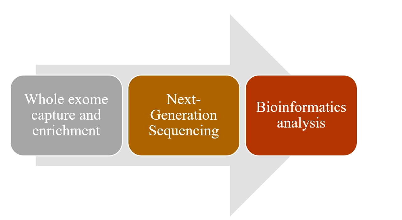 whole-exome-genome-1
