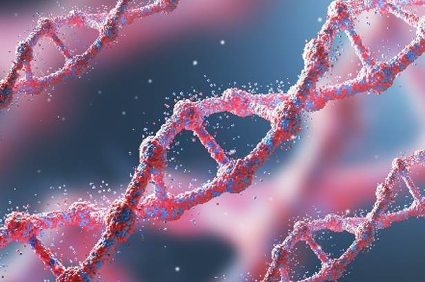 whole-exome-genome-1