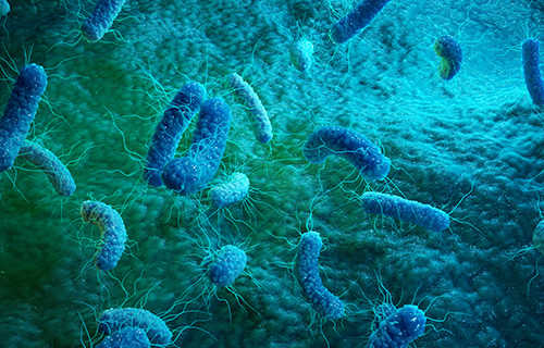 $120 Million-Investment For CRISPR Technology From Bill Gates and Other 13 Investors