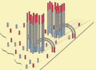 Genome Sequencing—Direct Sequencing of PCR Products