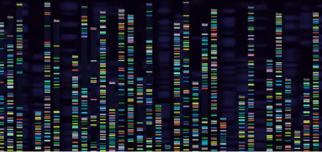 DNA Microarray vs. High-Throughput Sequencing: A Brief View and the Applications in Gut Microbiome Research