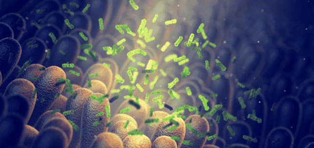 DNA Microarray vs. High-Throughput Sequencing: A Brief View and the Applications in Gut Microbiome Research