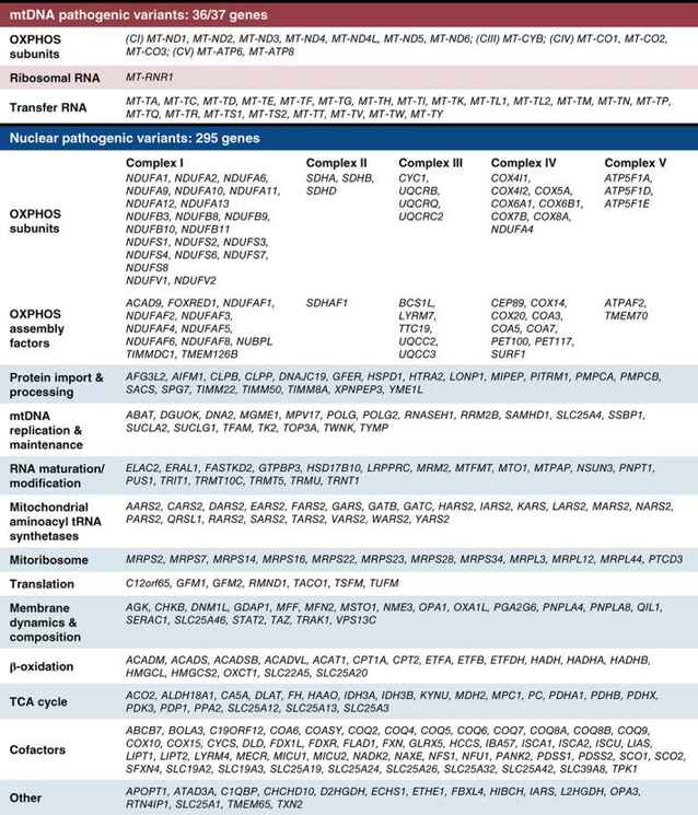 Genome Sequencing Drives Progress in Mitochondrial Diseases Research