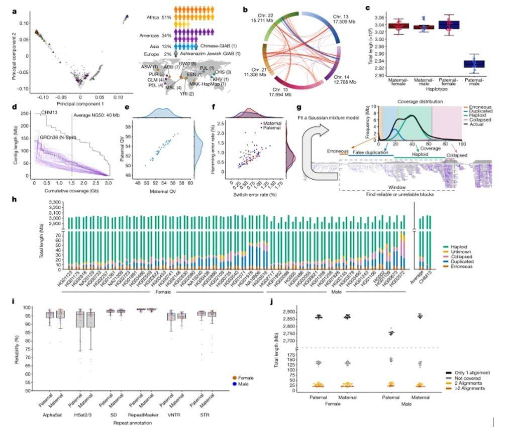 New Human Pan-Genome Draft: An Additional 119 Million Base Pairs To Better Reflect Human Diversity!