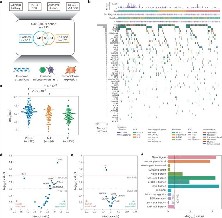 Overview of clinical and genomic data collected across the SU2C-MARK cohort.