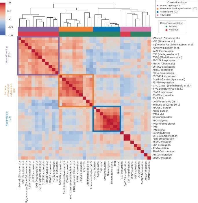 Cross-correlation heatmap of the top response and resistance-associated features.