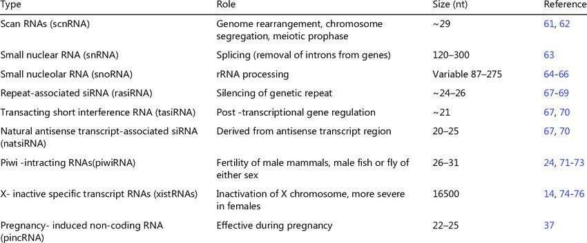 List of small RNAs and their function (Sunny Yadav et al,. 2017)