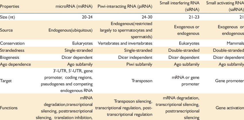 Classes of small RNA. (Ji Wang et al,. 2012)