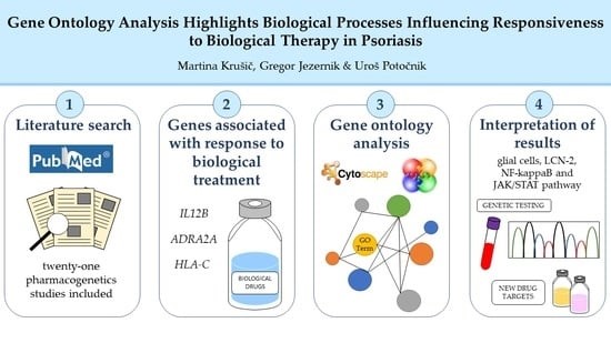 Gene Ontology Analysis Illuminates Biological Processes. (Krušič, et al., 2023)
