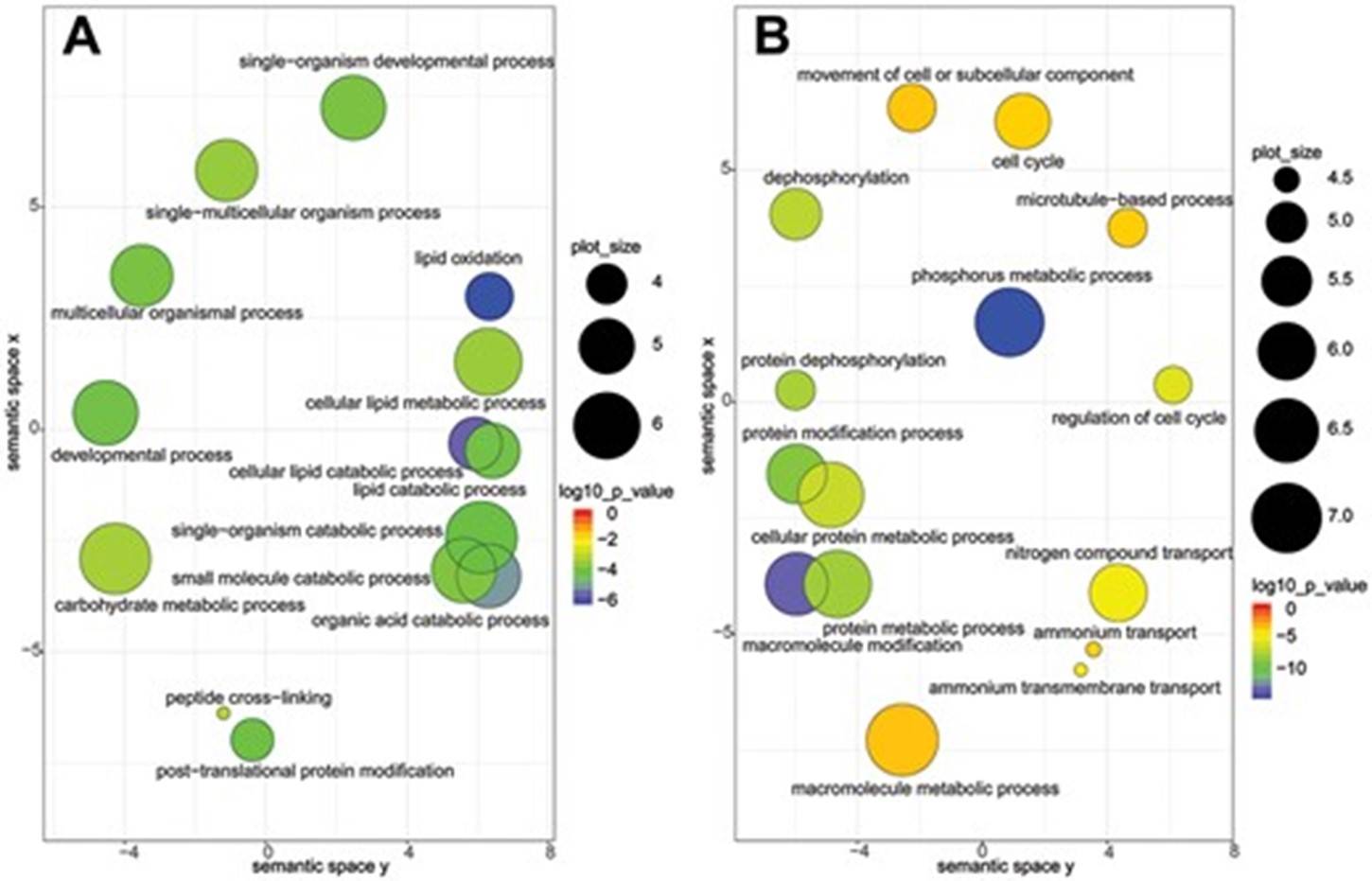 Visualization of Gene Ontology (GO) terms associated with biological processes. (Grosser, Katrin, et al., 2018)
