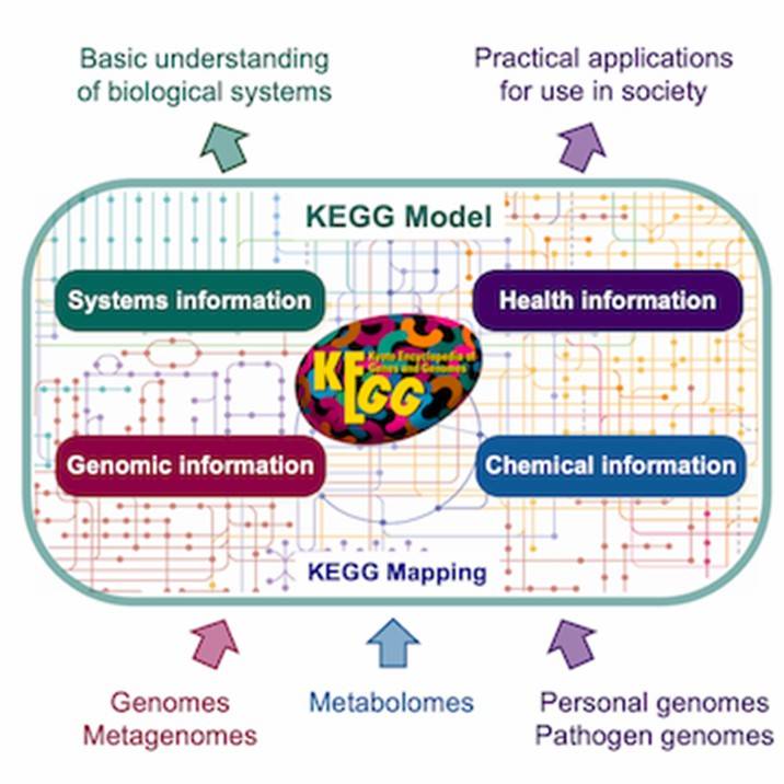 How to Download KEGG Database: A Comprehensive Guide for Researchers