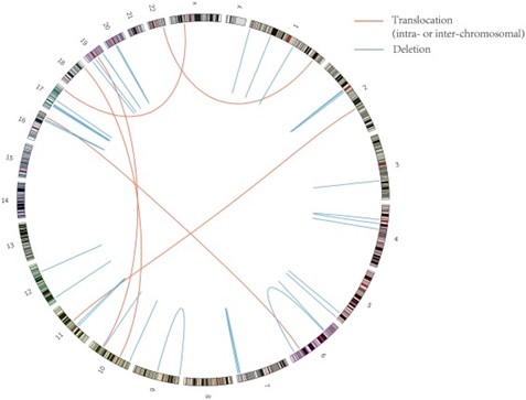 Structural variations identified through de novo sequencing. (Pan, Hong-xin, et al., 2019)